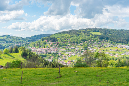 image de l'actualité