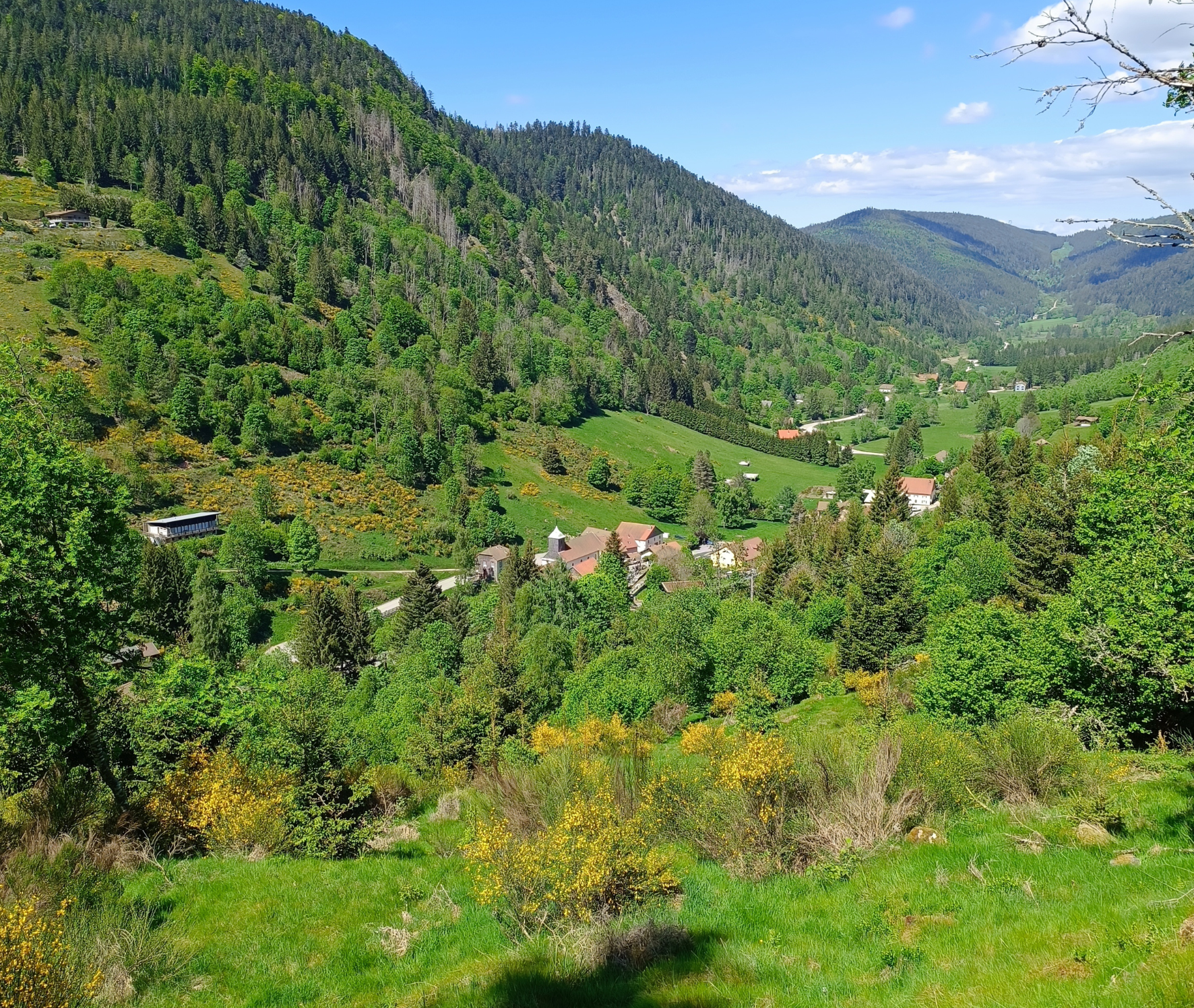 image de l'actualité