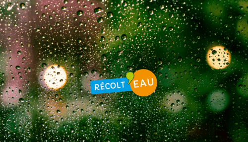 image de l'actualité