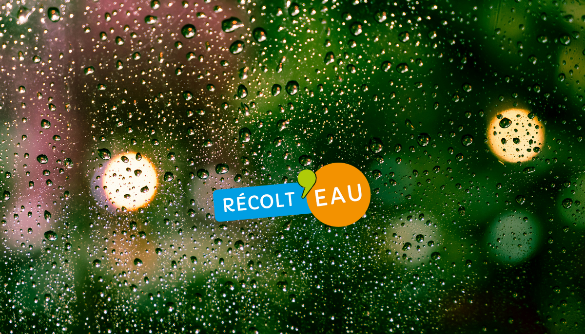 image de l'actualité